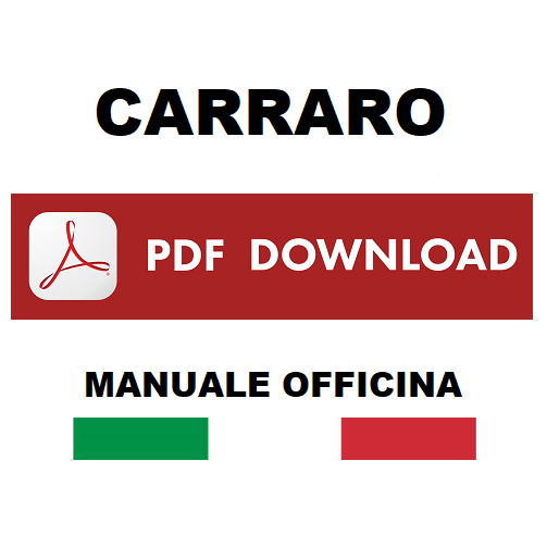 Carraro serie 2090 Ergit TRF TRX TRG TF TG TTR TGF SRX Manuale officina Istruzione riparazione assistenza trattore