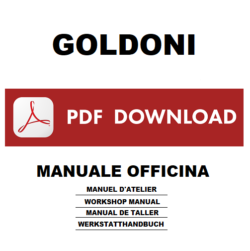 GOLDONI 919 921 926 928 932 933 serie 900 trattore Manuale officina riparazione assistenza Workshop service